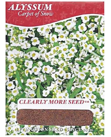 Livingston Seed Alyssum Carpet of Snow (1.5 g Net Content - Y1005)