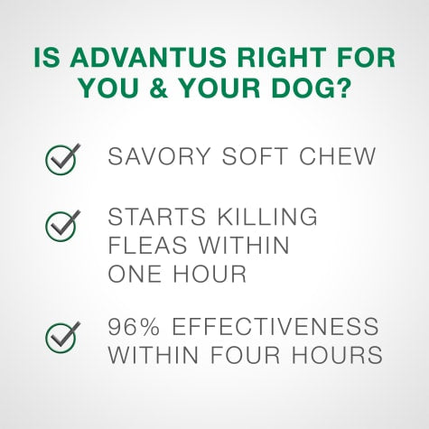 advantus® Small Dog Chew (30ct)