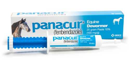 Merck Panacur (fenbendazole) Paste