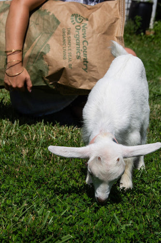 New Country Organics Organic Goat Feed