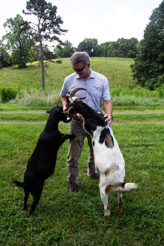 New Country Organics Organic Goat Feed