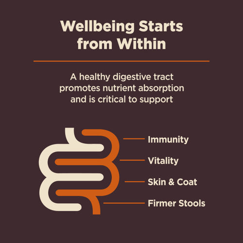 Wellness CORE Digestive Health Small Breed Chicken & Brown Rice