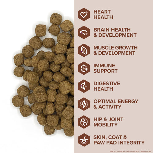 Kent Blue Seal EnTrust® Healthy Adult Chicken Meal & Barley Recipe Dog Food