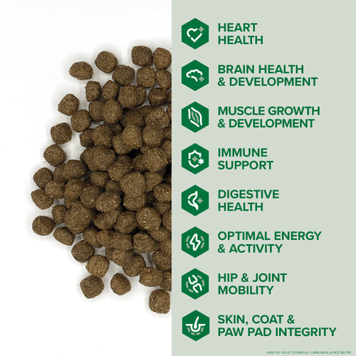 Kent Blue Seal EnTrust® Healthy Adult Lamb Meal & Rice Recipe Dog Food