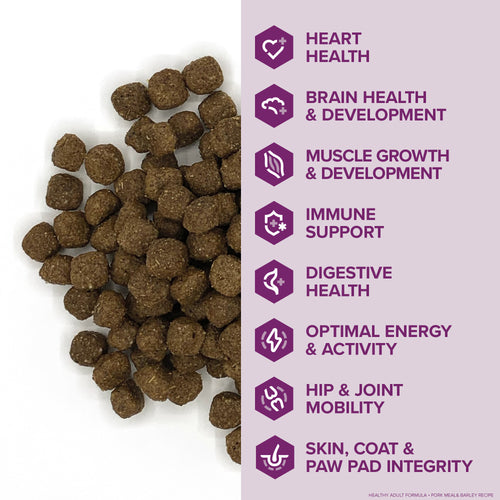 Kent Blue Seal EnTrust® Healthy Adult Pork Meal & Barley Recipe Dog Food