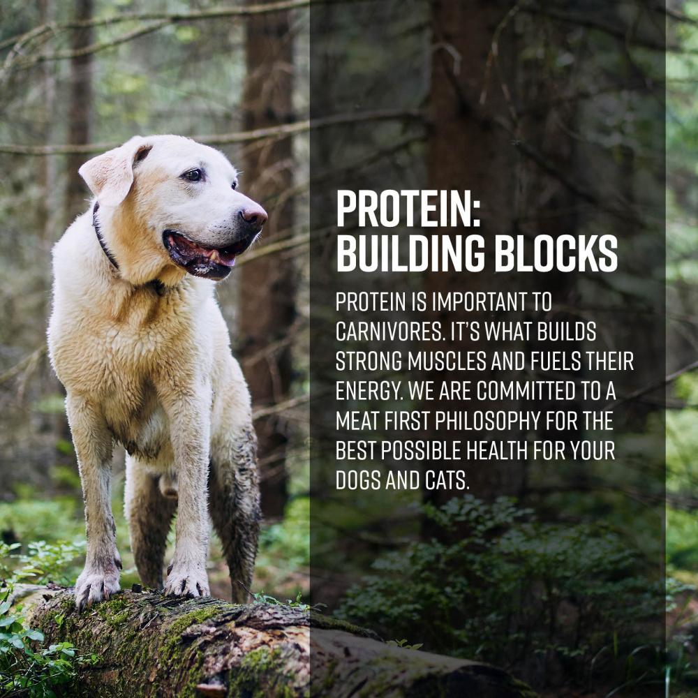 Essence Grain Free Ocean & Freshwater Recipe Dry Dog Food - Ranson, WV ...