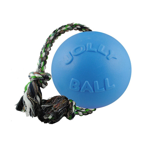 Jolly Pets Romp-N-Roll Toy (Purple - 4.5 inch)