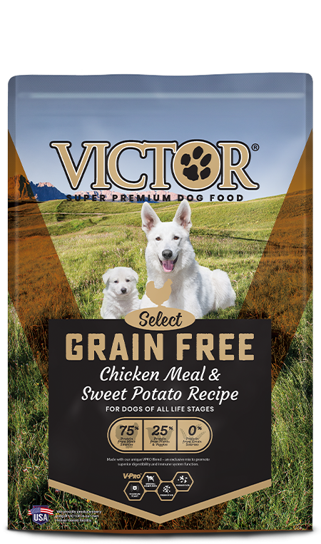 Victor Pet Grain Free Chicken Meal & Sweet Potato Recipe (5 lb)