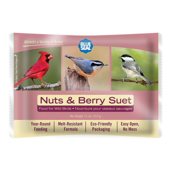 Blue Seal Nuts & Berry Suet Cake (11 Oz)