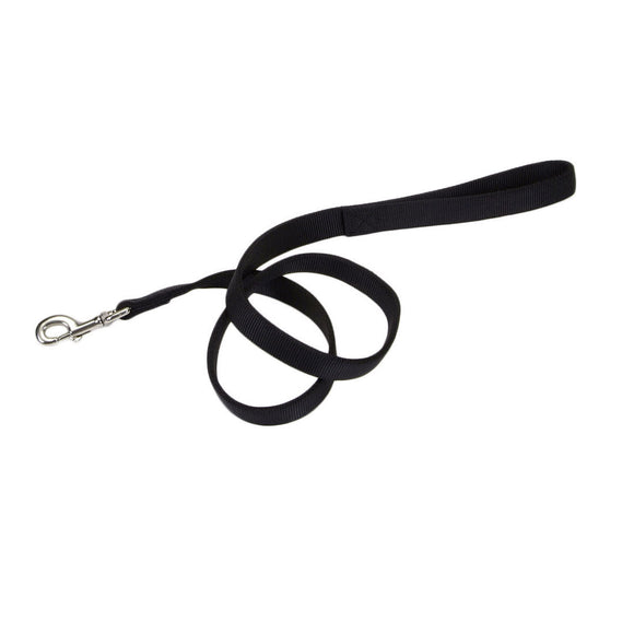 Coastal Pet Double-Ply Dog Leash, 1-Inch by 6 (1