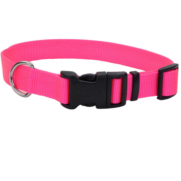 Coastal Adjustable Dog Collar with Plastic Buckle (Neon Pink  3/8