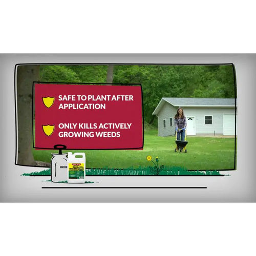compare-n-save herbicide Ragan & Massey Compare-N-Save Concentrate Grass and Weed Killer 41% Glyphosate - Ranson, WV